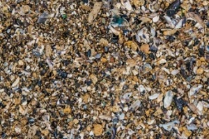 seashell aggregate with mixed concrete