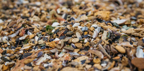 shell and pebble stone for background texture