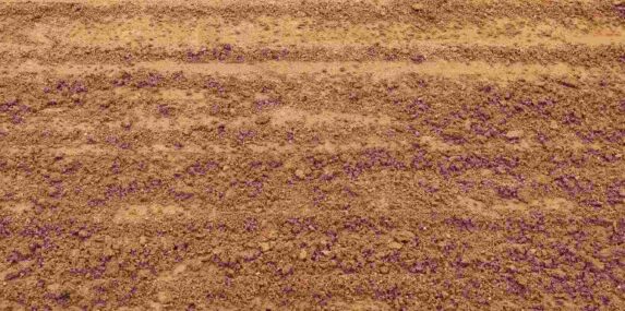 soil texture layers for natural background