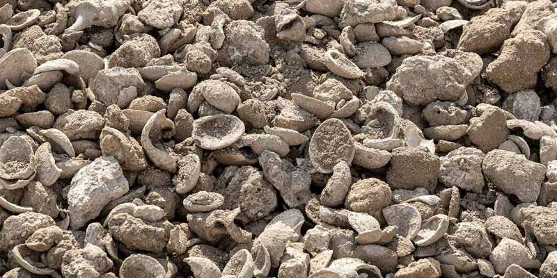 close-up-view-of-shell-aggregate