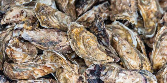 oysters market in cancale