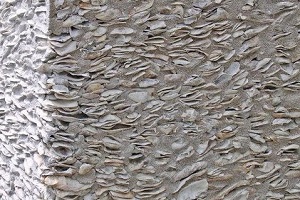 tabby concrete structure