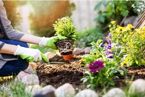 women working on flower beds