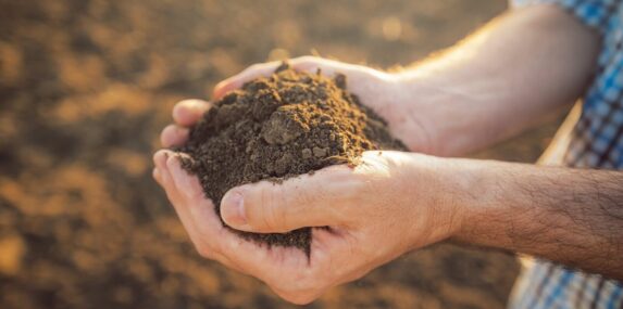 farmer holding pile of arable soil in hands