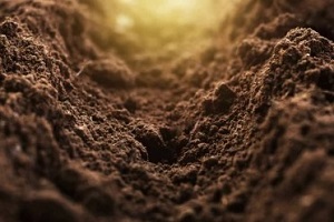 fertile loam for the background