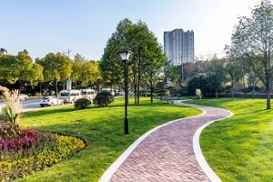 beautiful lanscaping near main raod