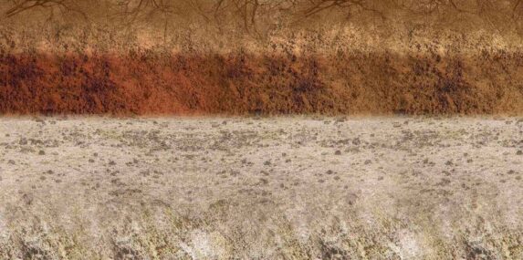 soil layer of cross-section earth with grass on the top