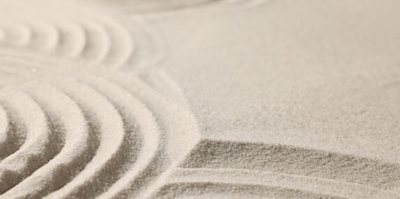 beautiful lines drawn on Central Florida sand