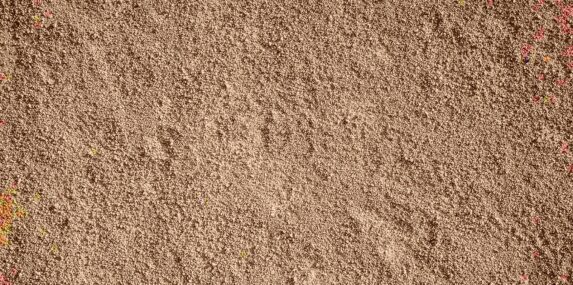 SW Florida construction sand macro