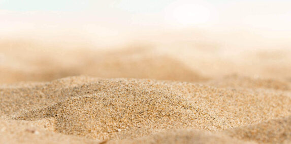 closeup of some SW Florida landscaping sand on the shore