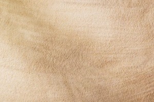 SW Florida sandy beach background top view with visible sand texture