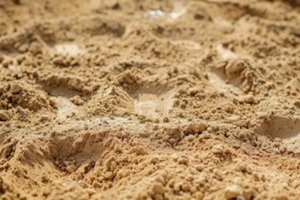 close up image of construction sand texture background in a Punta Gorda, FL construction site