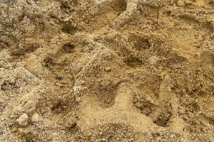 close up sand texture, background