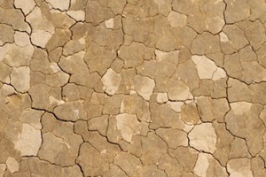dried and cracked fill dirt