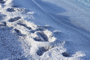 Footprints of Guests on White Quartz Sand on A Beach