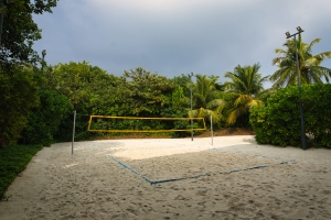 Professional Grade Sand Volleyball Court with A Net Among Palm Trees